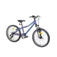 Girls' Mountain Bike Devron Riddle LH0.2 20'' - 2017 - Deep Purple