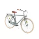 Urban Bike DHS Citadinne 2831 28” – 2018 - Grey