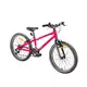 Detský bicykel Devron Riddle Kids 1.2 20" 3.0