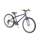 Junior Bike DHS Teranna 2421 24” – 4.0 - Black - Blue