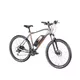 Mountain E-Bike Devron Riddle M1.7 27.5” – 2019 - Grey Matt - Grey Matt