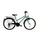 Junior Bike DHS 2414 24” – 2021 - Light Green - Light Green