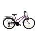 Junior Bike DHS 2414 24” – 2021 - Violet