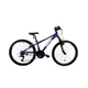 Junior kerékpár DHS Teranna 2423 24" - modell 2021 - kék - kék