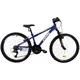 Górski rower młodzieżowy DHS Teranna 2423 24" 7.0 - Zielony - Niebieski