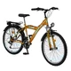 Bicykel DHS Trekking 2431 - oranžová