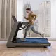 Treadmill inSPORTline Gardian G10