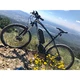 Elektryczny rower górski Devron 27225 27,5" 1.0