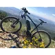 Elektrisches Mountainbike Devron 27225 - Modell 2016 - Race Schwarz