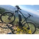 Mountain E-Bike Devron 27225 with 11.6Ah Replacement Battery - 2016 - Race Black
