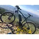 Devron 27225 E-Mountainbike mit Ersatz-Akku 11,6 Ah - Modell 2016