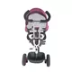 Three-Wheel Stroller/Tricycle with Tow Bar MamaLove Rider