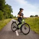 Trekking E-Bike Levit Columba Bosch Performance 625 28”