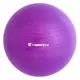 Gimnasztikai labda inSPORTline Top Ball 55 cm - lila