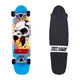 Deskorolka Skateboard Tony Hawk Roarry