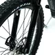 Mountain E-Bike Crussis e-Atland 10.9-M – 2024