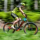 Mountain E-Bike Crussis e-Atland 10.4 – 2019