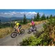 Mountain E-Bike Crussis e-Atland 5.6 - model 2021