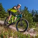 E-Mountainbike Crussis e-Atland 9.6-M - model 2021