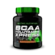 Scitec BCAA + Glutamine Xpress 600g