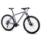 Horský bicykel 4EVER Convex Disc 29" - model 2016 - modro-zelená - svetlo šedá