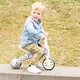 Children's Tricycle – Balance Bike 2in1 Chillafish Bunzi FAD