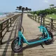 E-Scooter W-TEC Billar 500W 12” - Blue