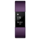 Fitness Tracker Fitbit Charge 2 Plum Silver