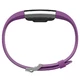 Fitness náramek Fitbit Charge 2 Plum Silver