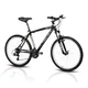 Horský bicykel 4EVER Concord 2014 - čierno-zelená
