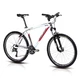 Mountain bike 4EVER Convex 2013 - V-brake - White/Red - White/Red