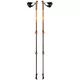 Telescopic Poles FERRINO Creek SS23