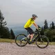 Mountain E-Bike Crussis e-Cross 7.6-M - model 2021