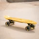 Penny board WORKER Mirria C8 22"