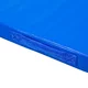 Гимнастически дюшек inSPORTline Gabyk T90 200x120x6 см - син