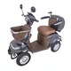 Four-Wheel Electric Scooter inSPORTline Lubica - Grey