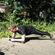 Wielofunkcyjna płyta treningowa z licznikiem Plank Trainer inSPORTline Holdit