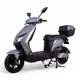 Skuter elektryczny W-TEC Raike 10" - Szaro-czarny - Szaro-czarny