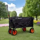 inSPORTline Wagoner Faltwagen