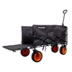 inSPORTline Wagoner Faltwagen