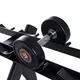 Two-Shelf Single-Handed Dumbbell Rack inSPORTline GymRack II