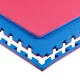 inSPORTline Sazegul 100x100x2 cm Puzzle Tatami-Matte - rot-blau - rot-blau
