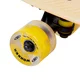 Svítící penny board WORKER Solosy C1 22"