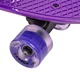 Penny board WORKER Aspy C2 22" se svítícími kolečky