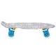 Penny board WORKER Paterny C6 22"