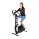 Exercise Bike inSPORTline Animaran