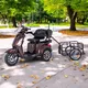 Elektrický tříkolový vozík inSPORTline Zorica s přívěsem - černá
