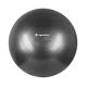 Gymnastický míč inSPORTline Stretch Ball 65 cm - mint - černá