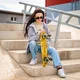 Penny board WORKER Mirria C8 22"