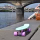 Fish Classic 22" Penny Board